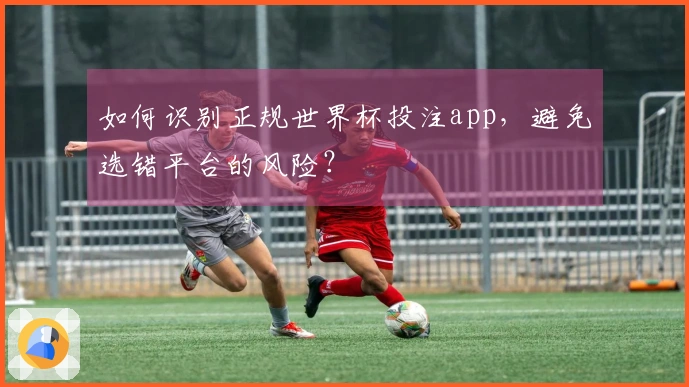 如何识别正规世界杯投注app，避免选错平台的风险？