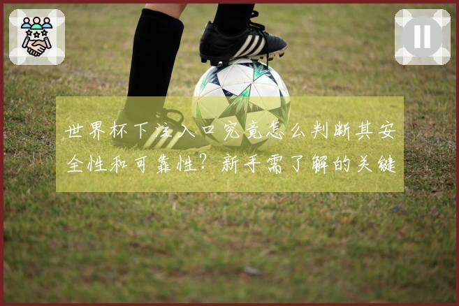 世界杯下注入口究竟怎么判断其安全性和可靠性？新手需了解的关键要点