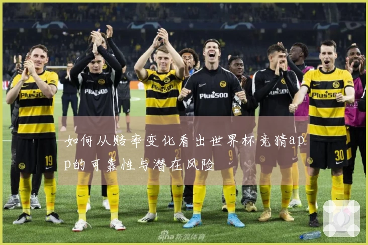如何从赔率变化看出世界杯竞猜app的可靠性与潜在风险