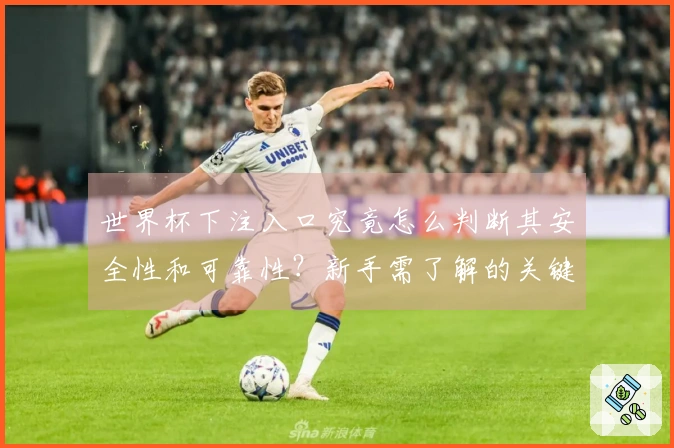 世界杯下注入口究竟怎么判断其安全性和可靠性？新手需了解的关键要点