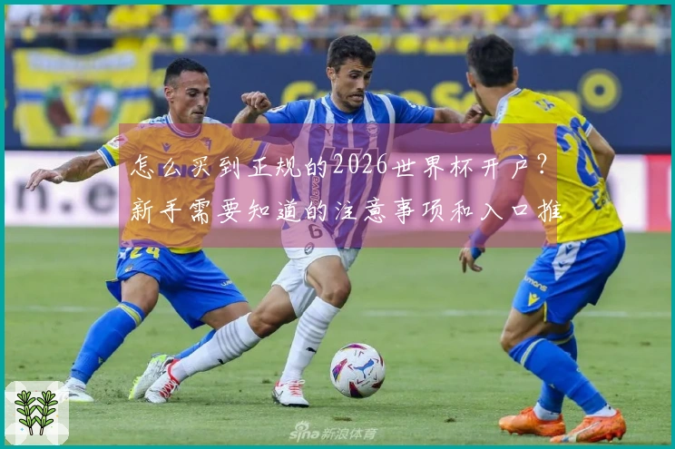 怎么买到正规的2026世界杯开户？新手需要知道的注意事项和入口推荐