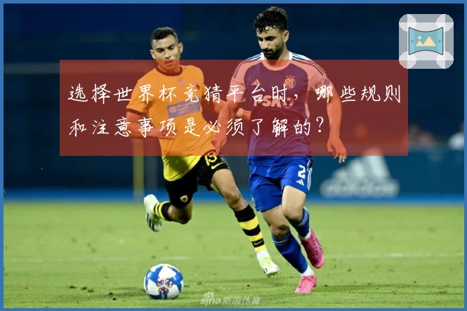 选择世界杯竞猜平台时，哪些规则和注意事项是必须了解的？