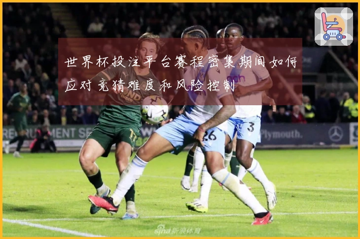 世界杯投注平台赛程密集期间如何应对竞猜难度和风险控制