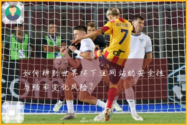 如何辨别世界杯下注网站的安全性与赔率变化风险？