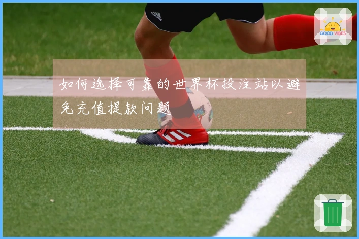 如何选择可靠的世界杯投注站以避免充值提款问题