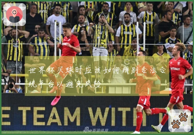 世界杯买球时应该如何辨别合法合规平台以避免风险
