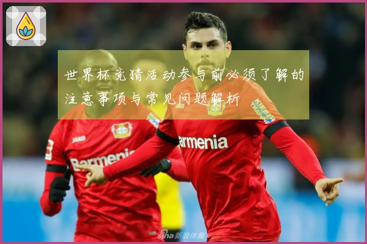 世界杯竞猜活动参与前必须了解的注意事项与常见问题解析